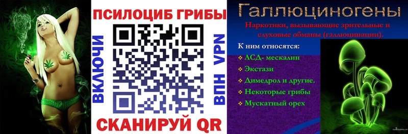 Псилоцибиновые грибы GOLDEN TEACHER  купить   маркетплейс клад  Щёкино 